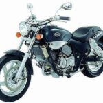 Opiniones sobre la Regal Raptor 350: &iquest;Buena opci&oacute;n de motocicleta?